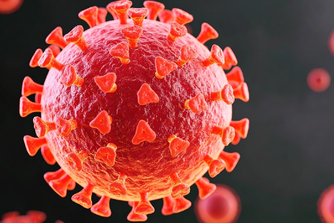 No link between COVID-19 vaccines and sudden deaths in young adults: AIIMS