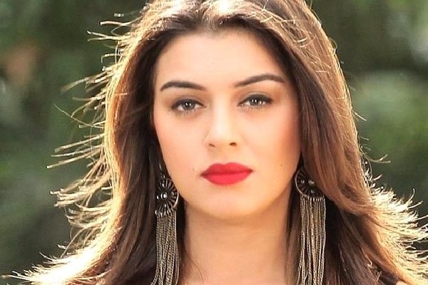 Hansika Motwani First Response After Divorce