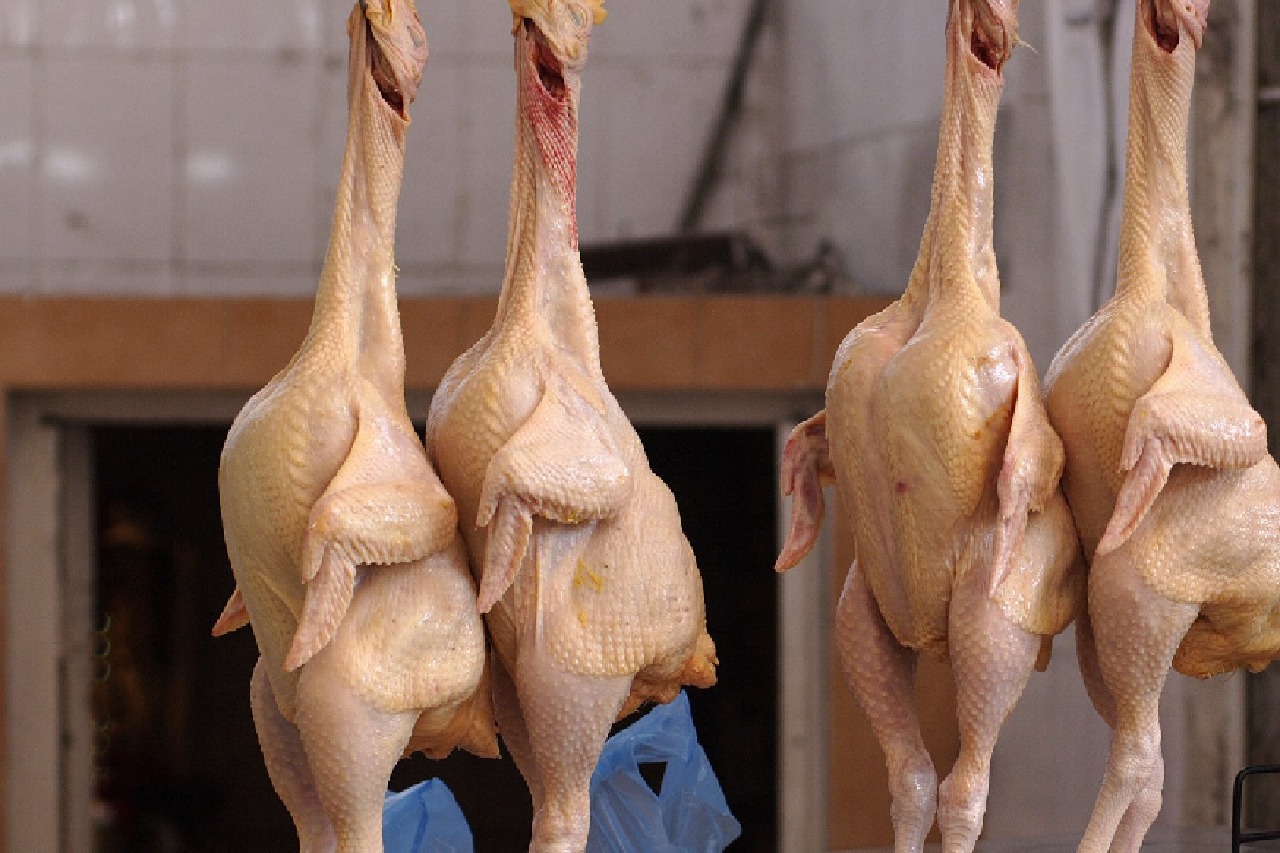 హైదరాబాద్‌లోని ఏ-1 ఫ్రెష్ చికెన్ మార్ట్‌లో కుళ్లిన 610 కిలోల చికెన్ పట్టివేత