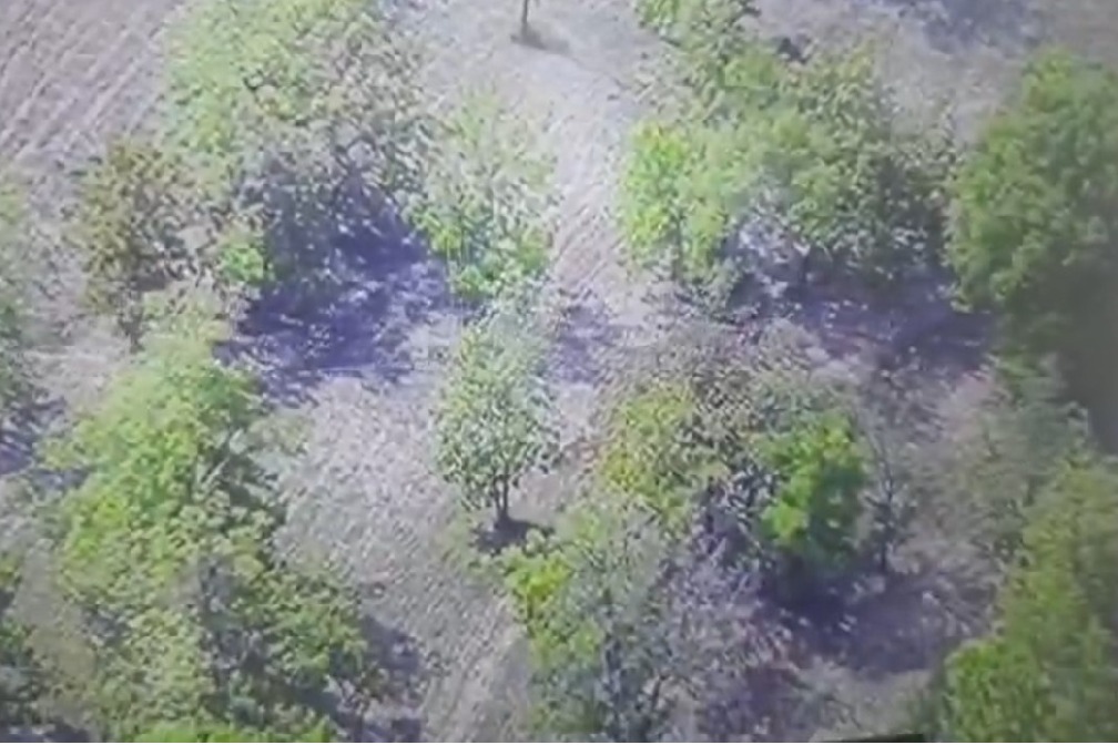 తెలంగాణ డీజీపీ కాన్వాయ్ ట్రయల్ రన్‌లో ప్రమాదం.. స్వల్పంగా దెబ్బతిన్న వాహనాలు