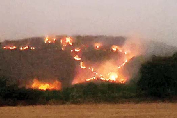 నల్లమల అడవిలో భారీ కార్చిచ్చు.. అదుపులోకి తెచ్చేందుకు అటవీ శాఖ తీవ్ర యత్నం