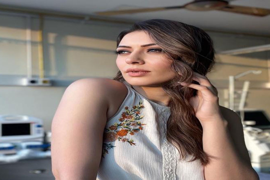 వదినపై రూ.2 కోట్ల పరువునష్టం దావా వేసిన నటి హన్సిక