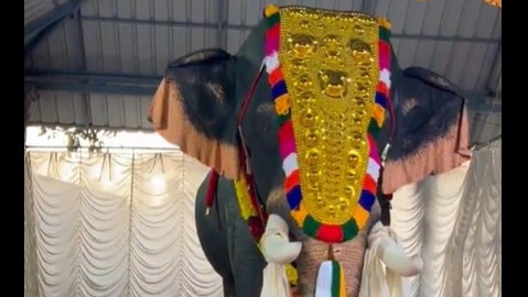 PETA India gifts robotic elephant to Kerala temple