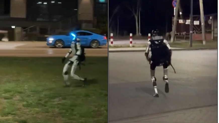 అడవి పందులను తరిమిన రోబో.. పోలాండ్ లో ఘటన.. వీడియో ఇదిగో!