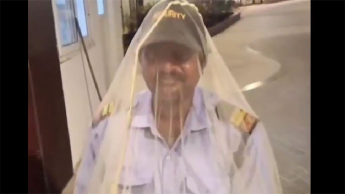 Hyderabad Security Guard Viral Video Shows Duty in Mosquito Net