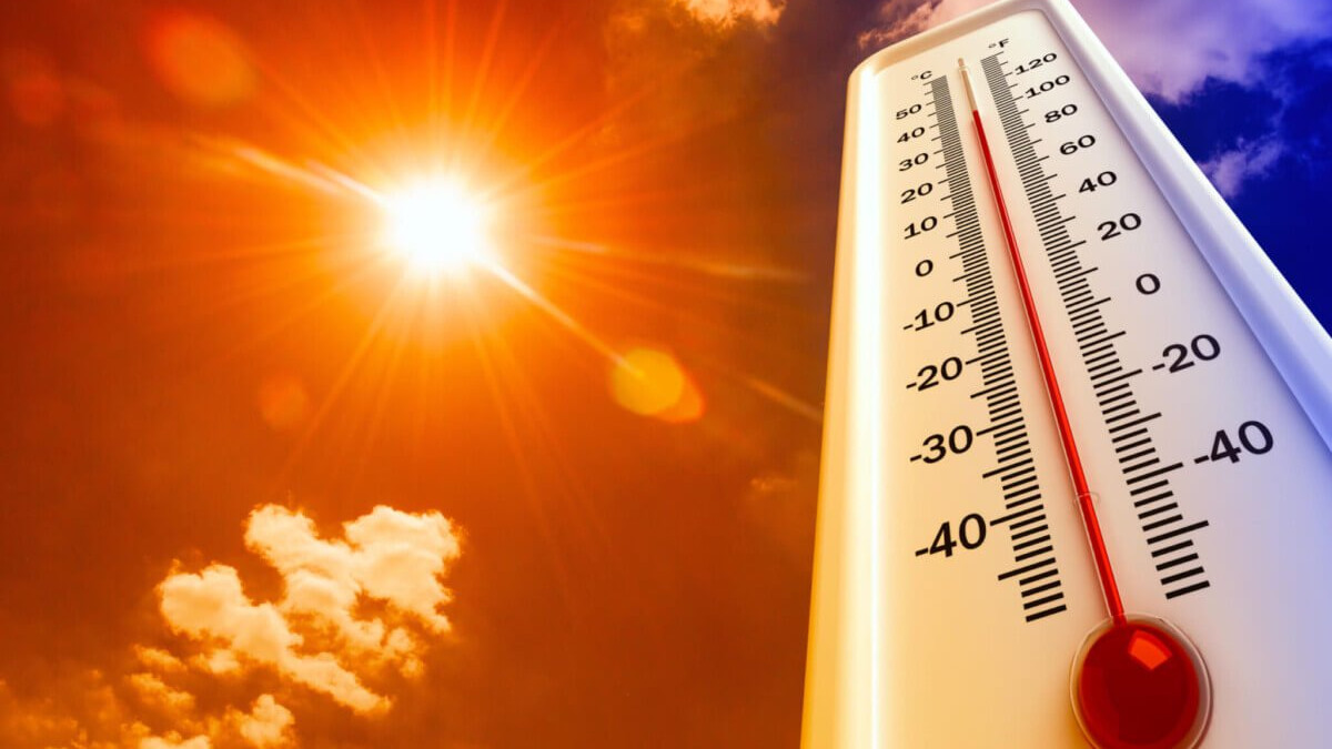 Telangana Heatwave Sweeps State Temperatures Soar