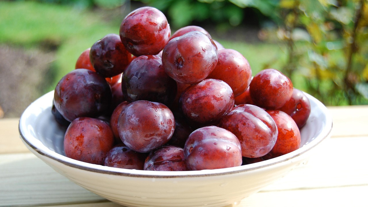 Plum Fruit Benefits Many Health Advantages