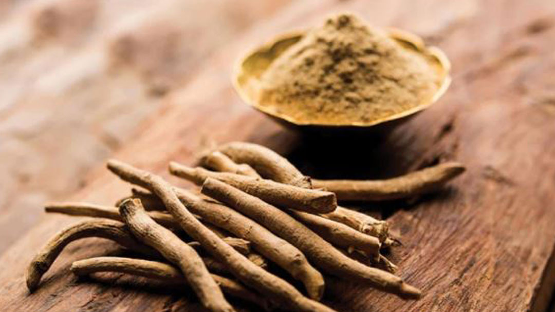 Ashwagandha Leaves Banned by Central Government Reason Explained