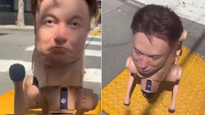 Elon Musk Robot Dog Stuns San Francisco Crowds