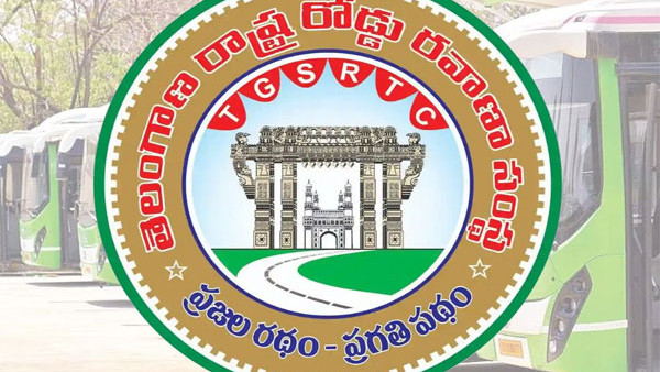 TGSRTC Strike Telangana buses halt passengers face trouble