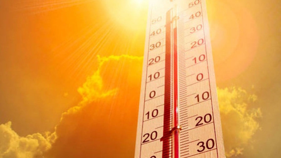 Telangana Heatwave Claims Four Lives Due to Heatstroke
