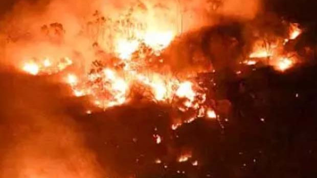 Seshachalam Forest Fire Under Control Near Tirupati