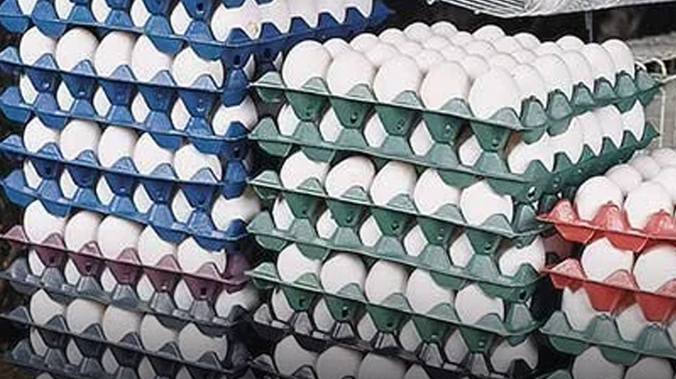 Egg Prices Surge in Telangana