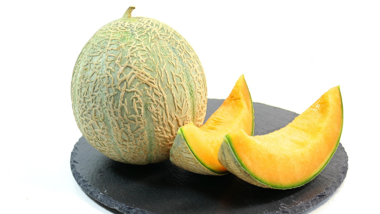 Muskmelon a good friend for every one in summer