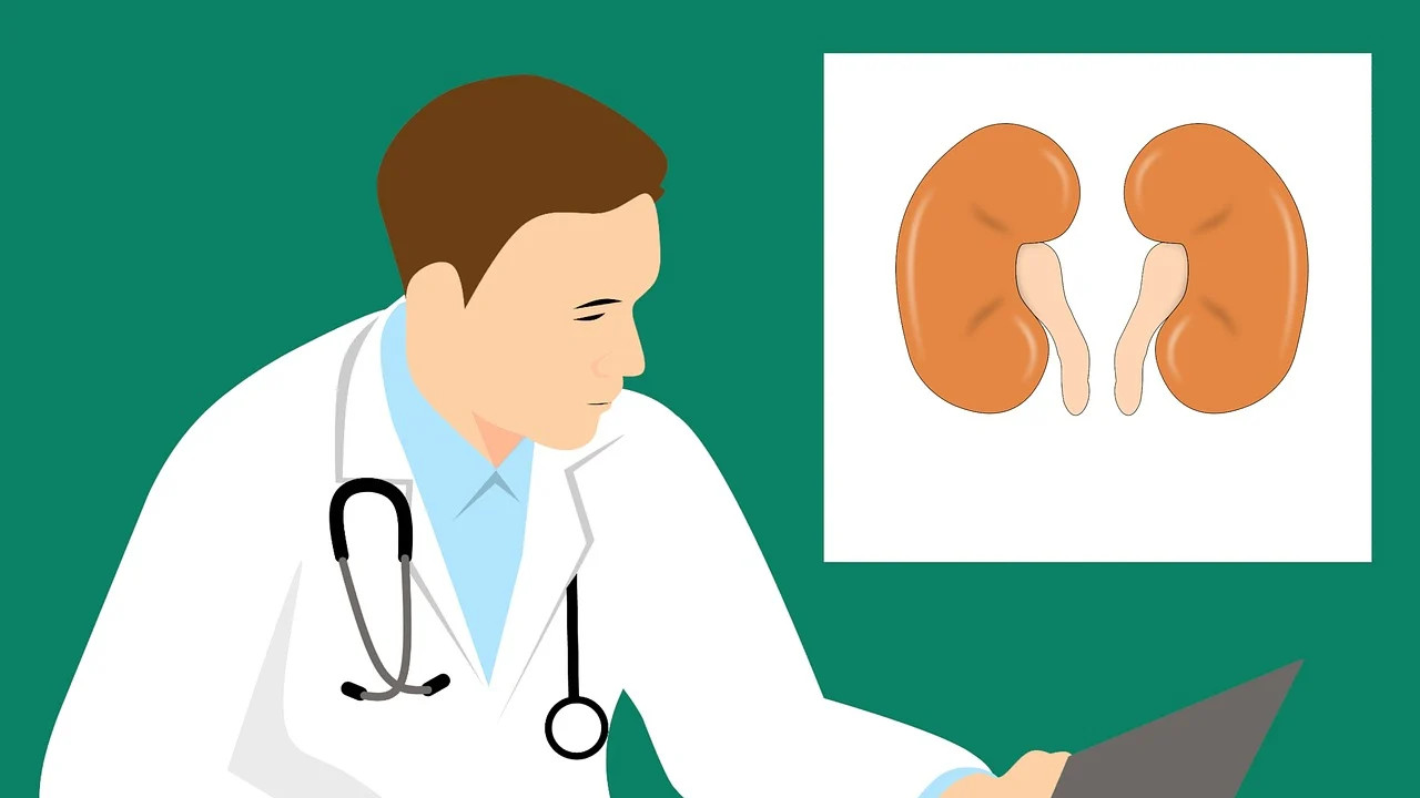 New study says drinking more water not a sollution for kidney stones