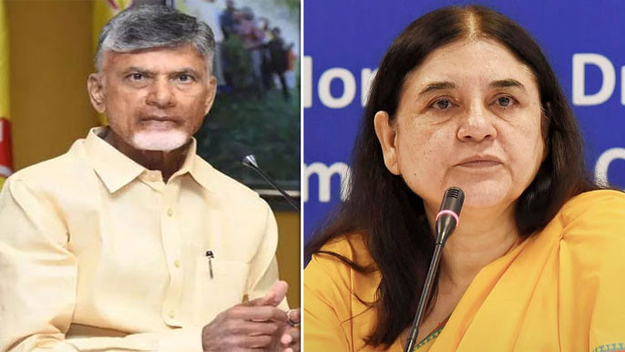 Maneka Gandhi urges Chandrababu to stop animal sacrifices at Ganga Jatara