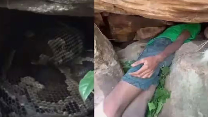 Odisha Boy Gets Head Stuck In Crevice Finds Snake Staring At Him