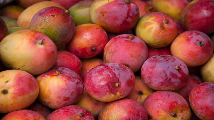 Does Mango Increase Sugar Levels Facts About Diabetes and Mango