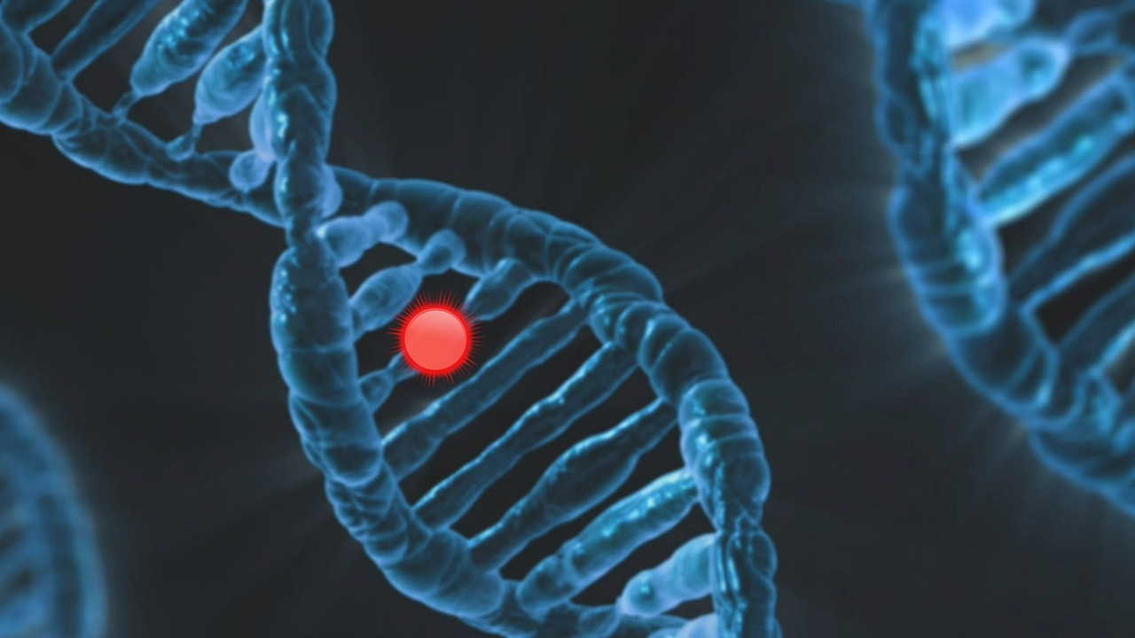 Y Chromosome Disappearance What Happens to Men