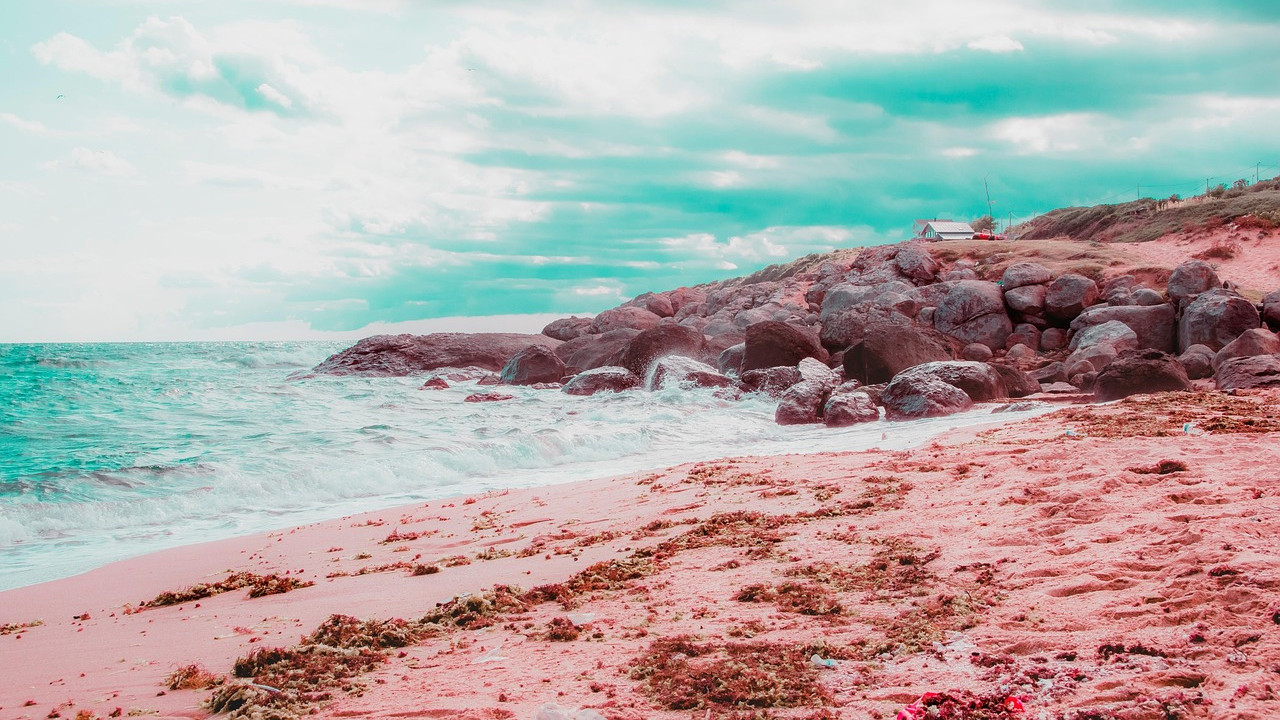 Bermuda Pink Sand Mystery Solved New Geological Discovery