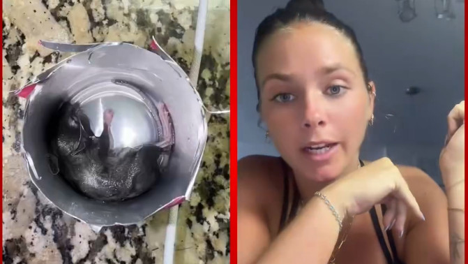 Energy Drink Woman Finds Dead Rat Viral Video