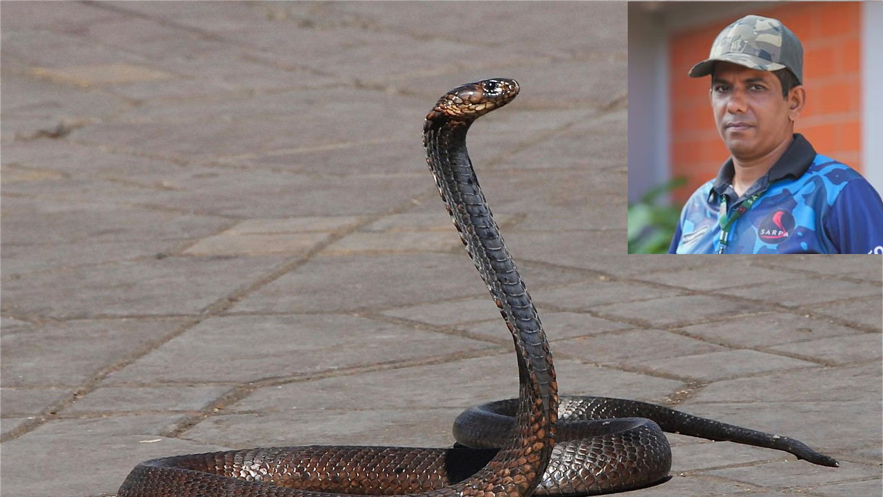 Charlie Varghese The Pastor Who Rescues Snakes and Fights Fires in Kerala