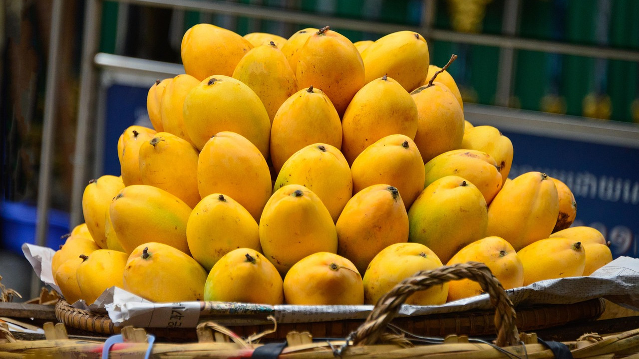 Indian Mangoes craze in America even with high price