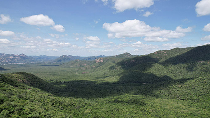 TTD Tirumala Forest Conservation a Model for India