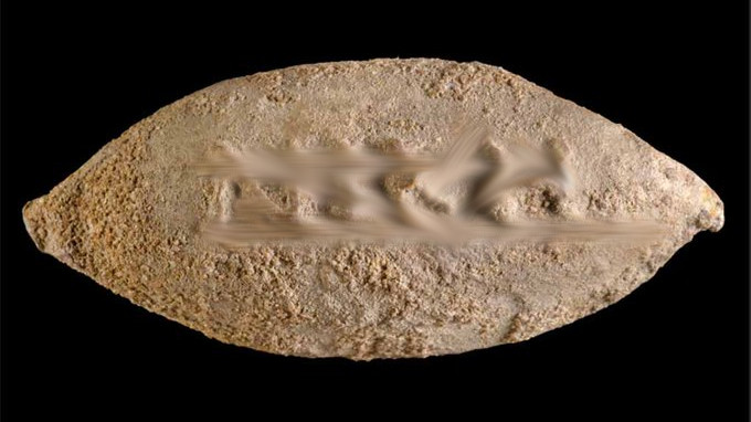 Hippos Ancient Lead Bullet Reveals Surprising War Message