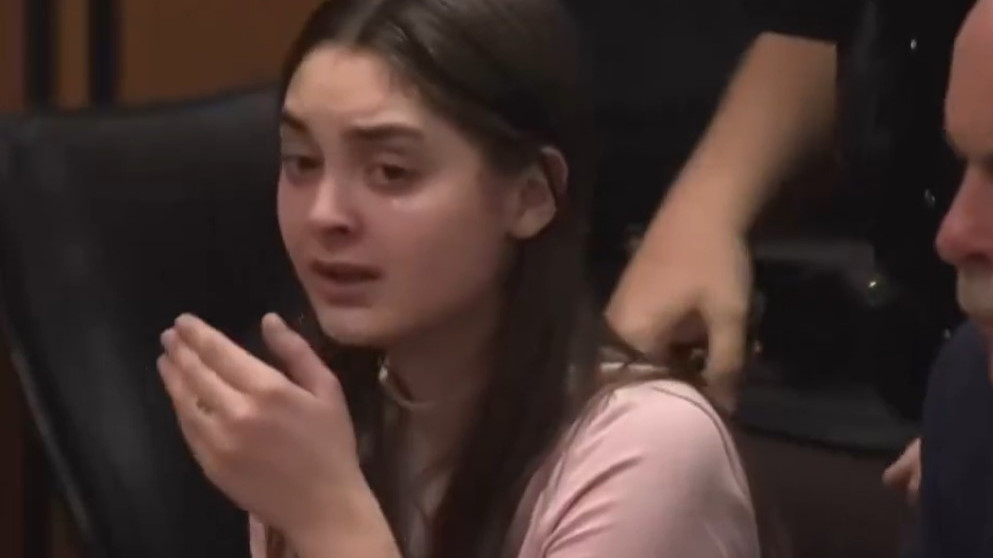 Shirlilla gets 15 year jail sentence in US court video viral