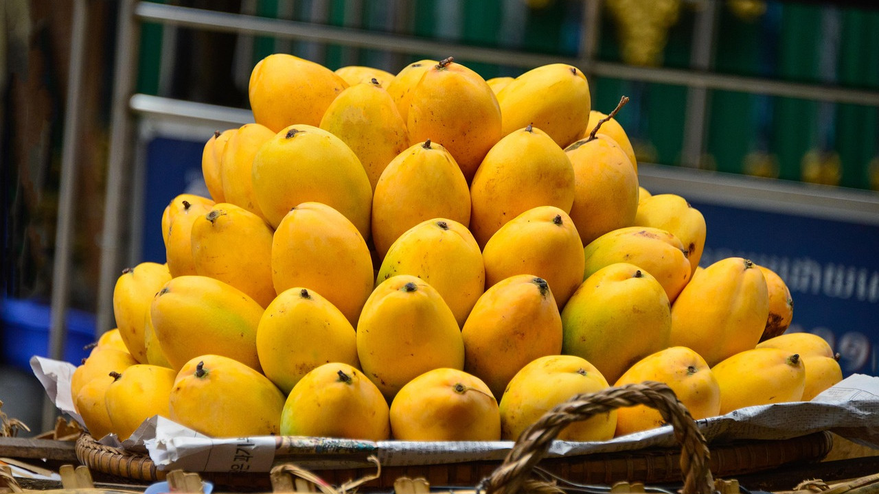 Mangoes How to Keep Mangoes Fresh Longer A Tip