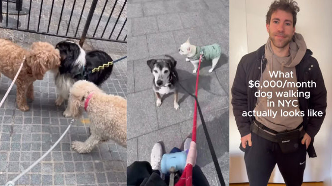 Koby Goodheart Techie earns lakhs walking dogs as side hustle