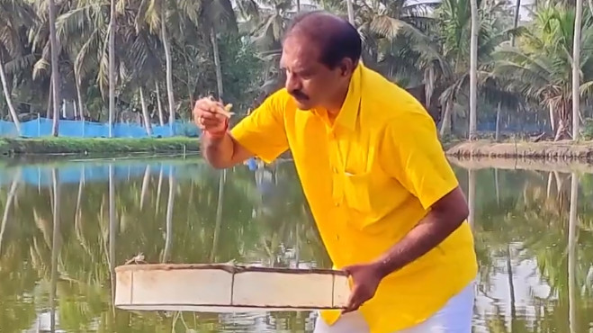Nimmala Ramanayudu Minister Turns Farmer in Native Village