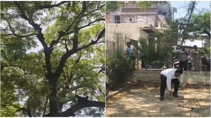 Bulandshahr Monkey Steals 2 Lakh Rupees Throws Money From Tree