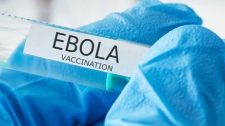 No ebola cases in India