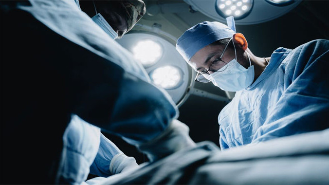 In a first scientists transplanted both a pig liver and kidneys into a person who was brain dead