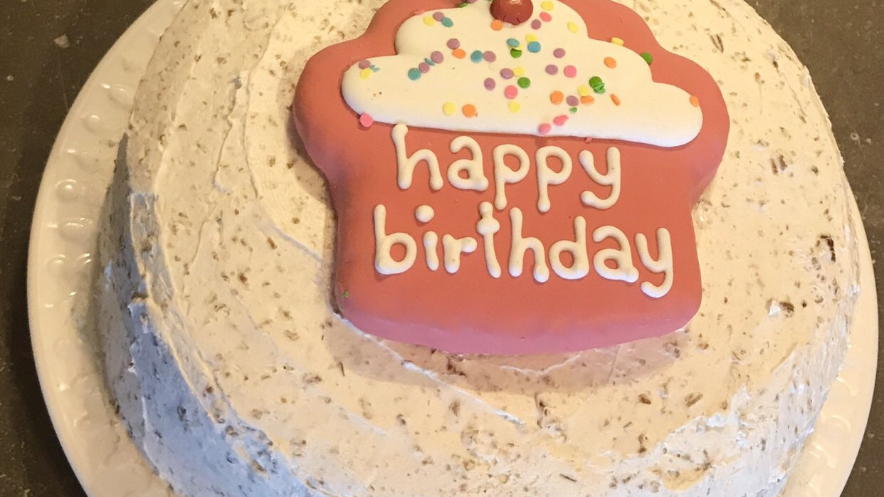 Hyderabad birthday road goes viral cakes cut on dividers