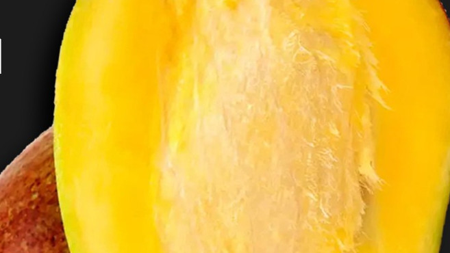 Stop Throwing Away Mango Seeds