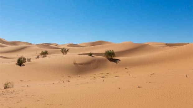 Sahara Desert tragedy 49 people die of thirst in Niger