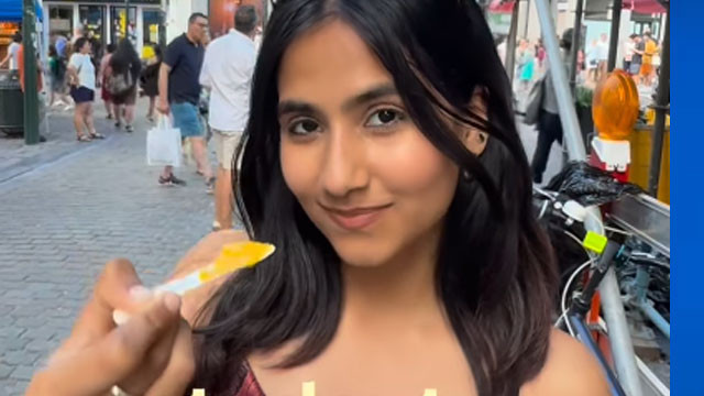 Indian student budget in France goes viral 81000 rupees monthly cost sparks debate