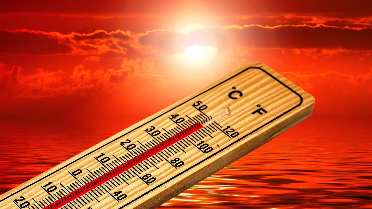 Strange weather in Telangana Heat and humidity warning for 5 districts tomorrow