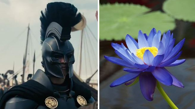 Lotus Flower memory loss myth debunked by medical experts