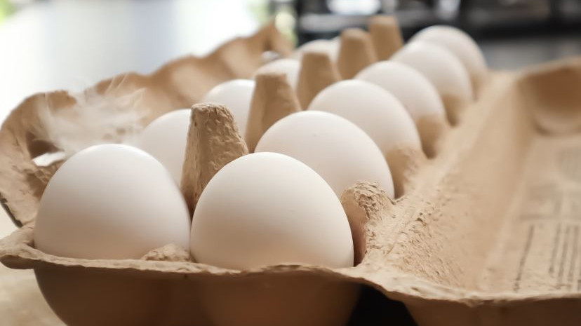 Eggs storage myths about taste and nutrition facts