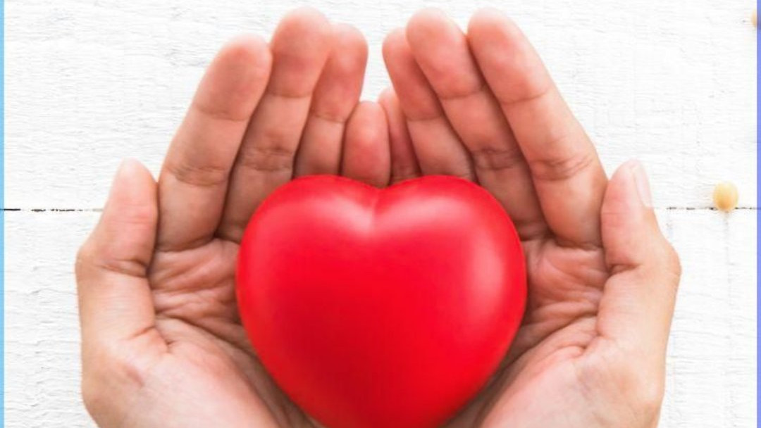 Yale University Research Reveals Heart Has Its Own Mini Brain