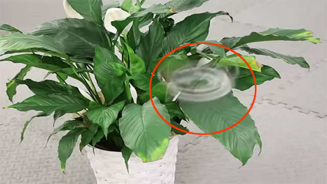 Phantom Twist Invisible drone makes detection nearly impossible through spinning