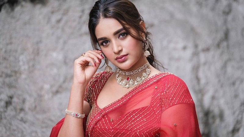 Nidhhi Agerwal waiting for good roles and no rush for marriage