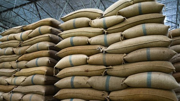 Rejecting TCS Software Job for Rice Business Earning Lakhs