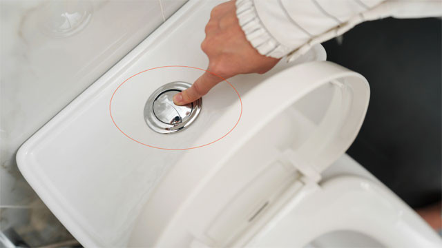 Dual Flush System secret behind the two buttons on toilet flush