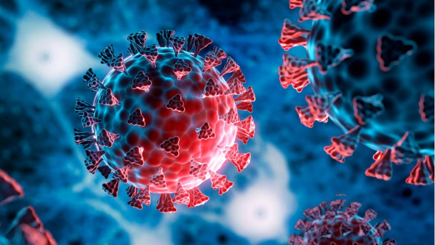 Tirupati records first coronavirus case as COVID-19 cases rise in Andhra Pradesh