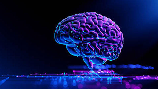Is human intelligence decreasing Alarming facts revealed in studies